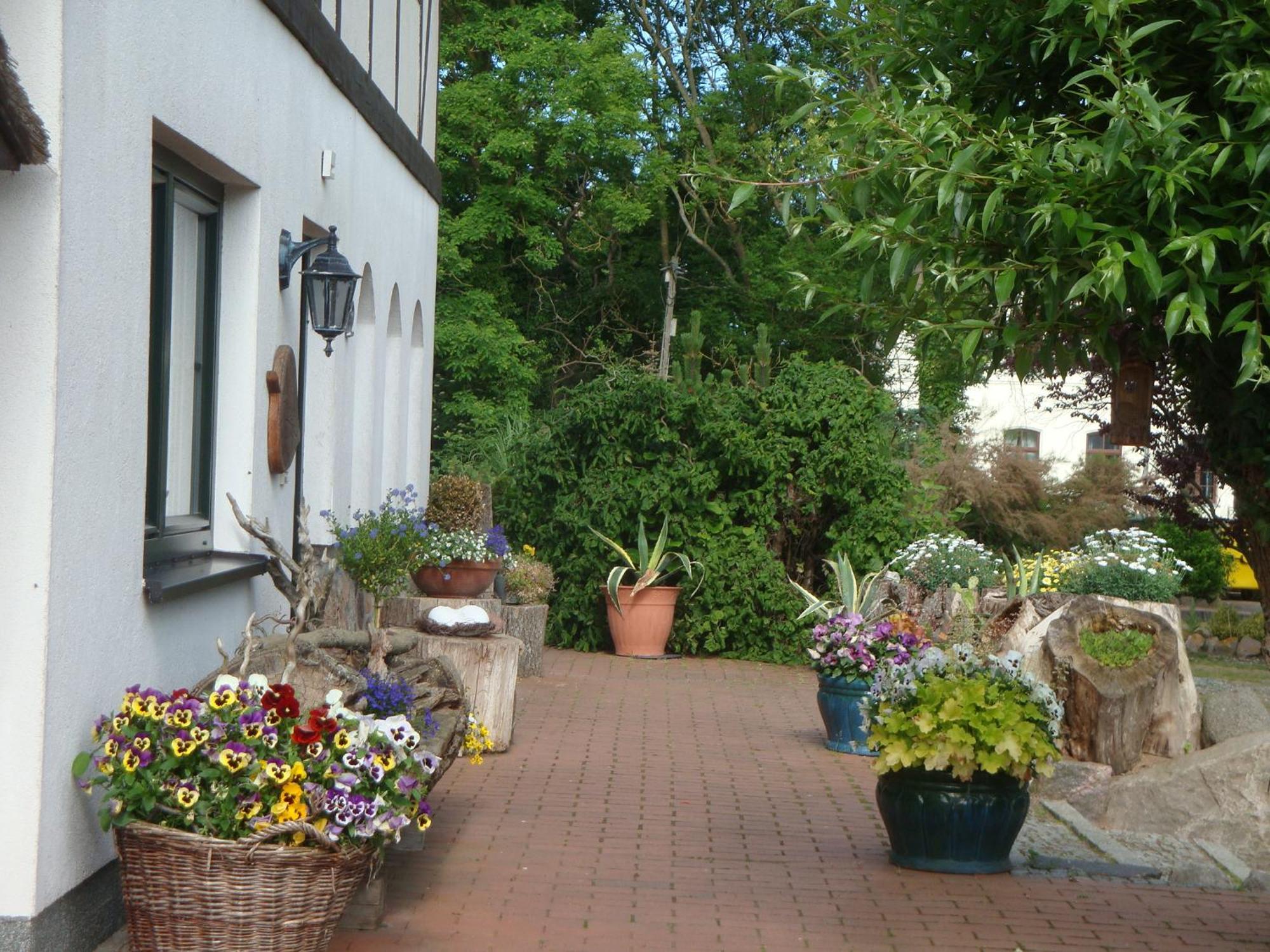 Gutspark Seeblick Kägsdorf Dış mekan fotoğraf
